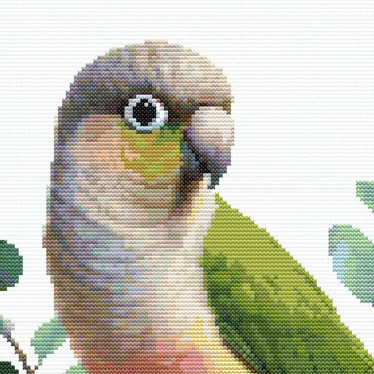 Close-up of Green Cheek Conure Cross Stitch Pattern showing the parrot’s face, soft feather detail, green colouring, and visible counted cross stitch texture.