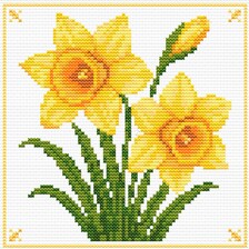 Yellow Daffodil cross stitch pattern - yellow floral PDF chart, stitched sample