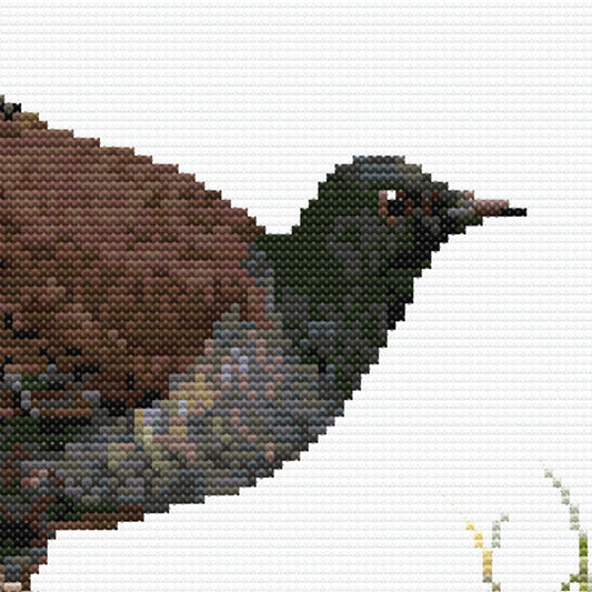 Close-up of the Australian Lyrebird cross stitch pattern showing detailed feather textures, earthy colours, and realistic stitching.