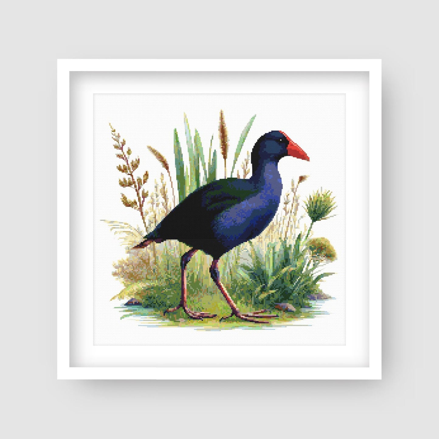 Pukeko Bird Cross Stitch Pattern displayed in a black frame with native New Zealand bird artwork and wetland-inspired detail.