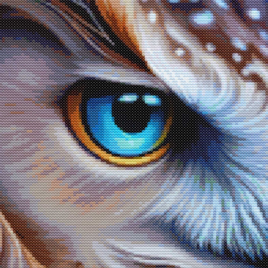 Close up of an owls eye with detailed feather texture of a midnight owl