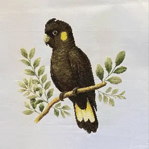 Finished yellow-tailed black cockatoo cross stitch stitched by a Stitch Junction customer