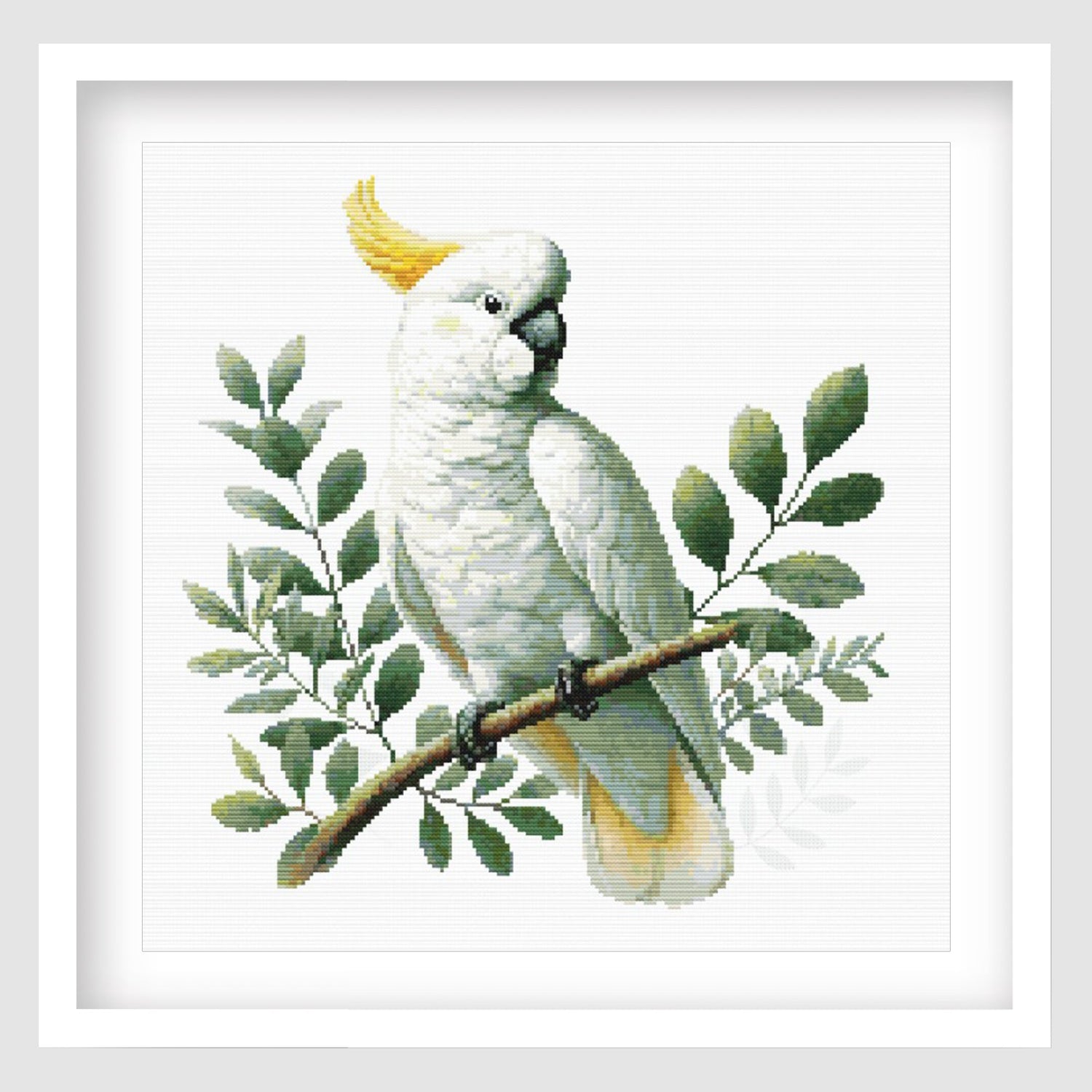 Australian Bird Cross Stitch Pattens