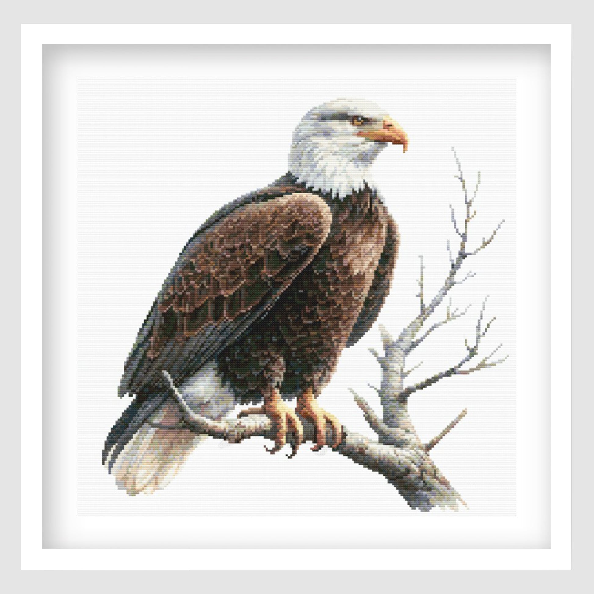 Bald eagle cross stitch pattern featuring a white-headed eagle with brown feathers, shown as framed wall art.