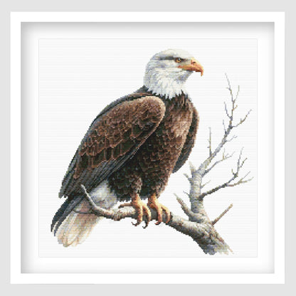 Bald eagle cross stitch pattern featuring a white-headed eagle with brown feathers, shown as framed wall art.
