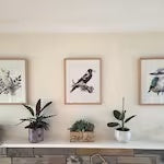 Framed Stitch Junction bird cross stitch pieces displayed in Katherine's home