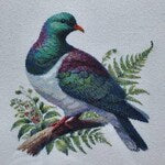 Finished kererū cross stitch stitched by a Stitch Junction customer