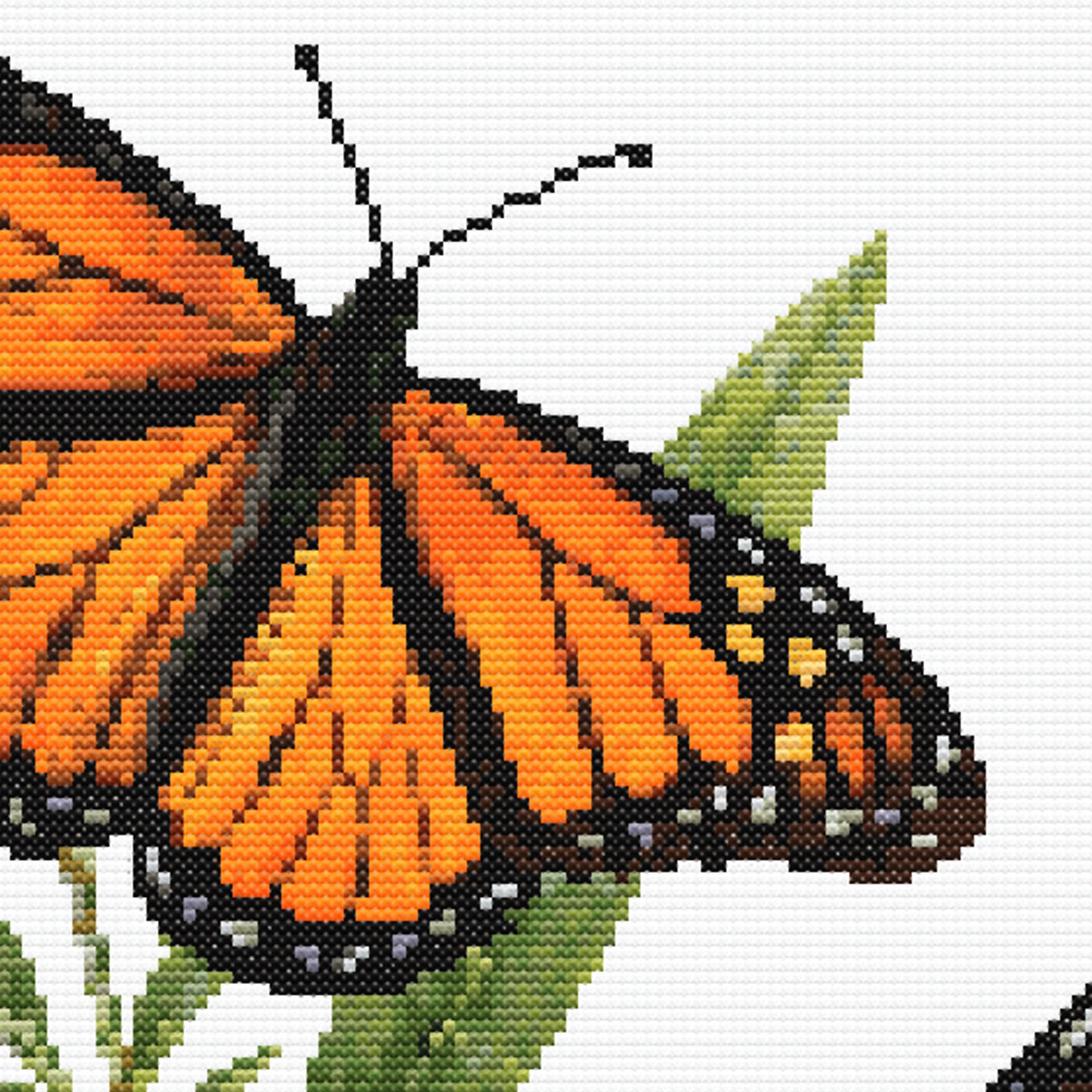 Monarch Butterfly Cross Stitch Pattern close-up showing orange butterfly wings, black markings and detailed stitching texture.