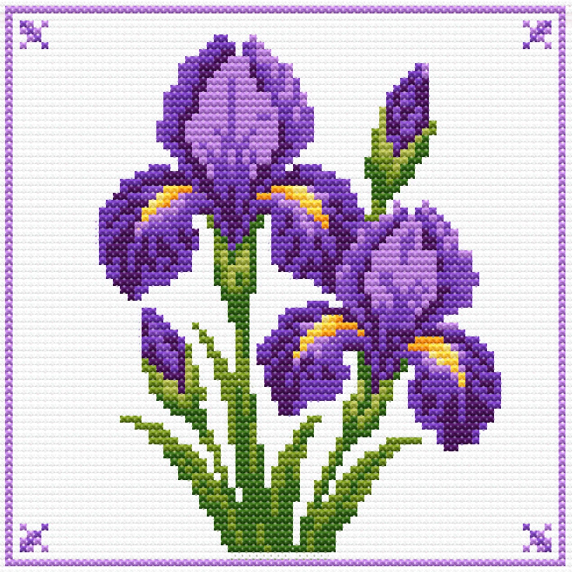 Purple iris flower cross stitch pattern with green leaves and decorative border