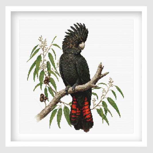 Black cockatoo cross stitch pattern featuring a detailed dark bird with red tail feathers perched on a branch, surrounded by eucalyptus leaves and natural botanical details.