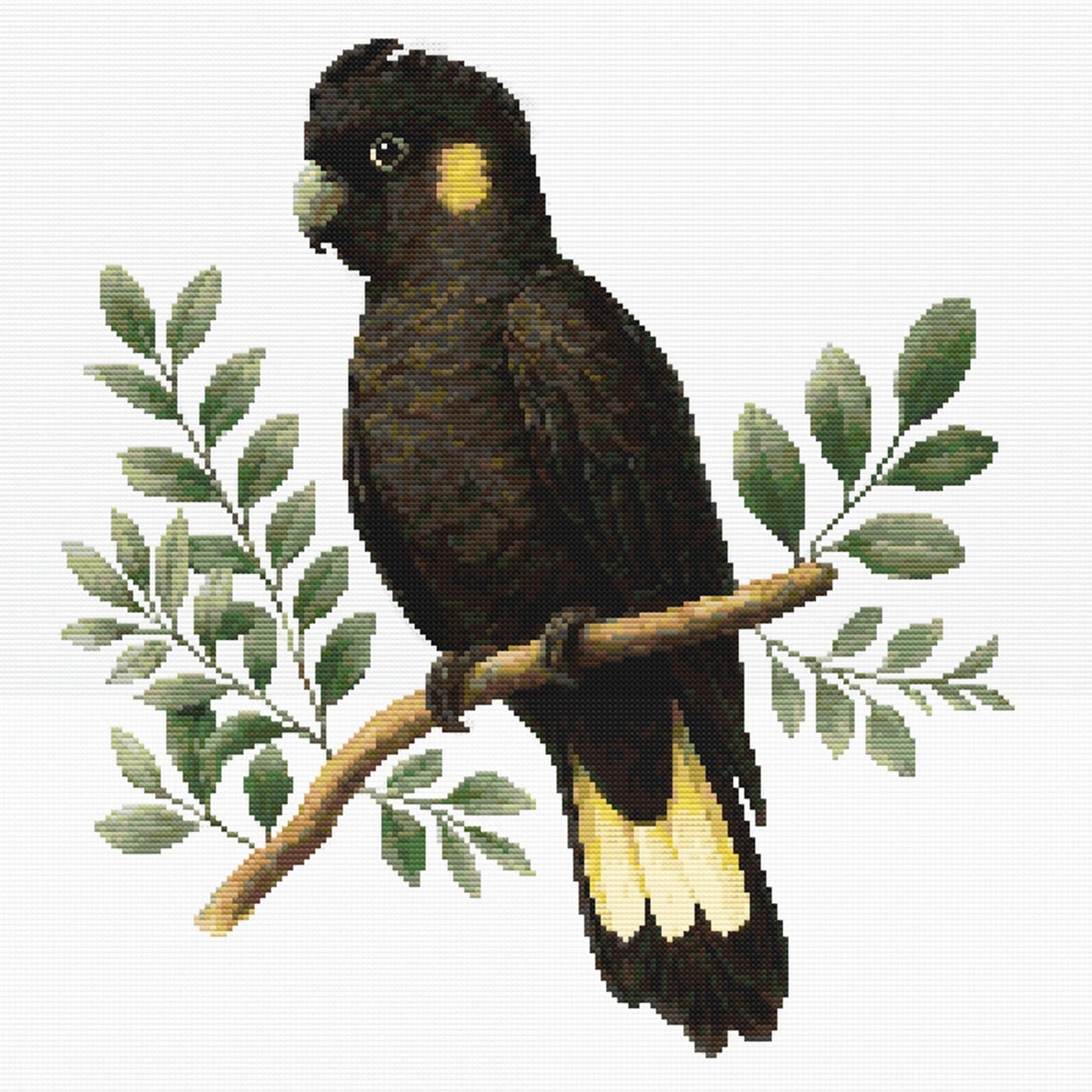 Yellow-Tailed Black Cockatoo Cross Stitch Pattern full artwork featuring Australia's native black cockatoo perched among eucalyptus leaves in a realistic botanical style.