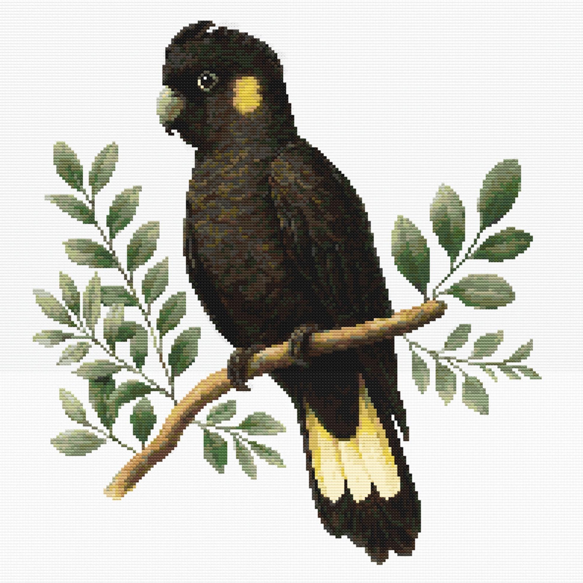 Yellow-Tailed Black Cockatoo Cross Stitch Pattern full artwork featuring Australia's native black cockatoo perched among eucalyptus leaves in a realistic botanical style.
