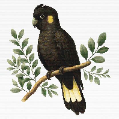 Yellow-Tailed Black Cockatoo Cross Stitch Pattern full artwork featuring Australia's native black cockatoo perched among eucalyptus leaves in a realistic botanical style.
