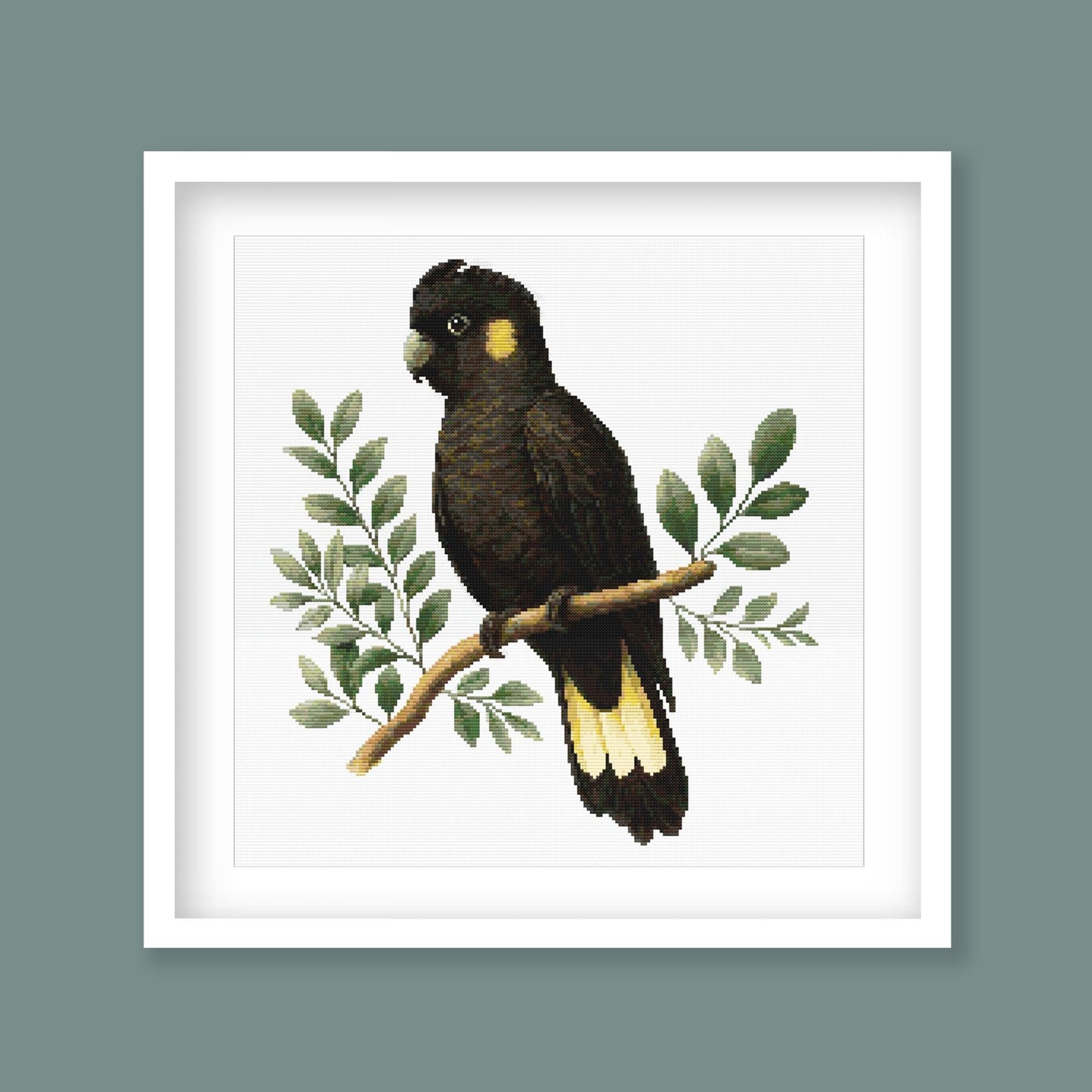 Yellow-Tailed Black Cockatoo Cross Stitch Pattern displayed in a sage green frame, styled as Australian wildlife wall art with native foliage.
