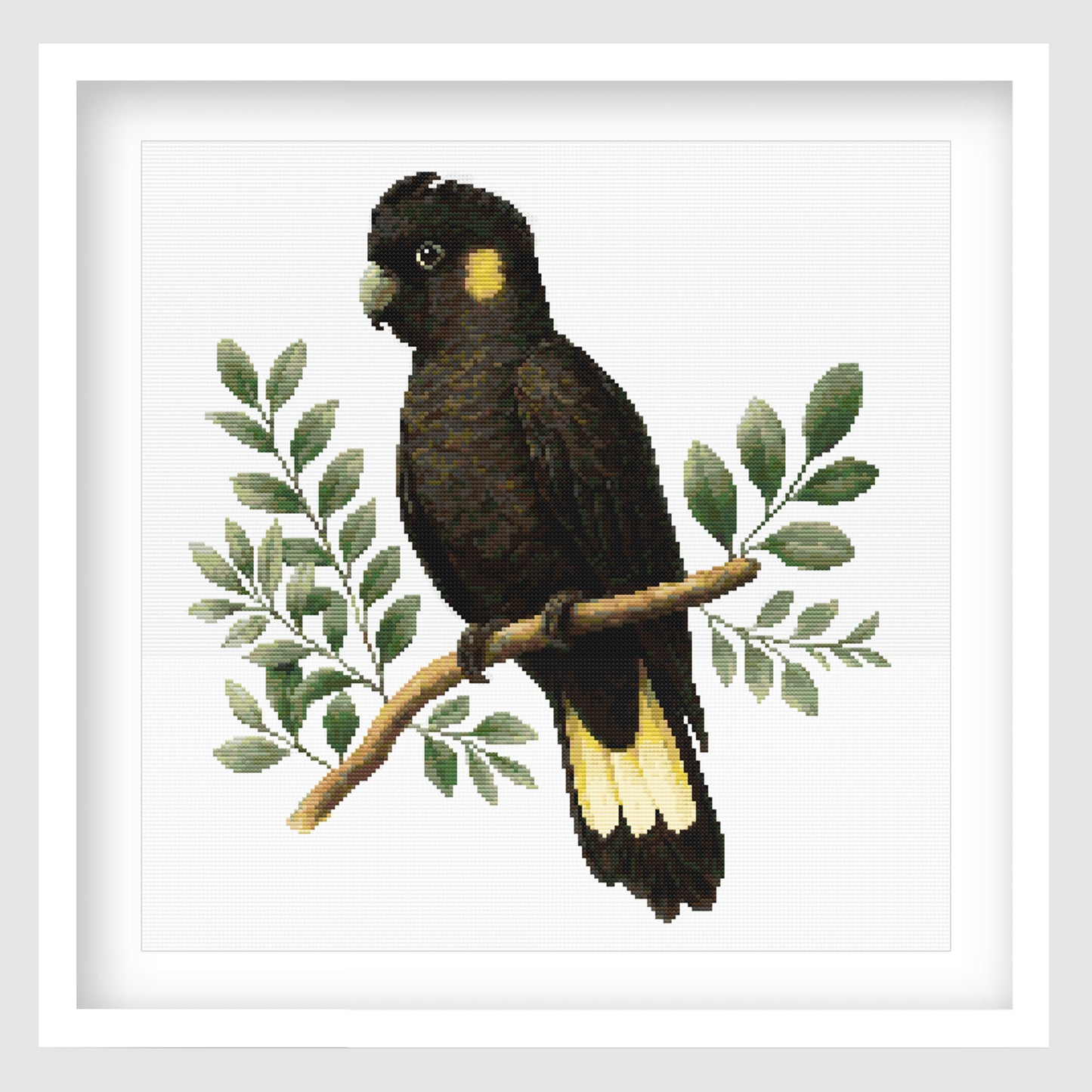 Yellow-Tailed Black Cockatoo Cross Stitch Pattern displayed in a white frame, featuring Australia's iconic black cockatoo perched on a branch with native eucalyptus foliage.