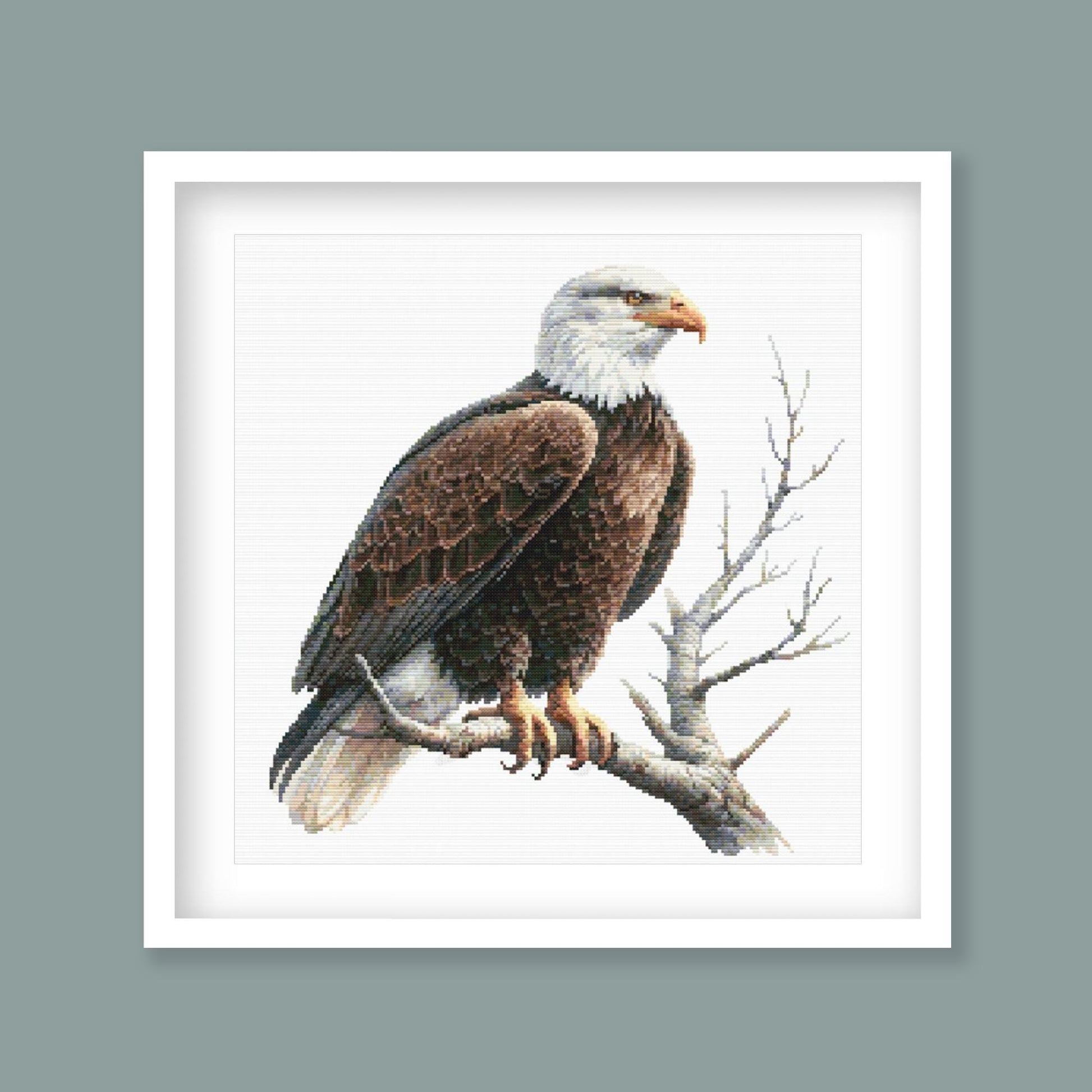 Framed artwork of a bald eagle on a branch with a gray background
