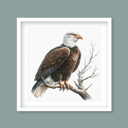 Framed artwork of a bald eagle on a branch with a gray background