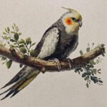 Finished cockatiel cross stitch stitched by Susan P