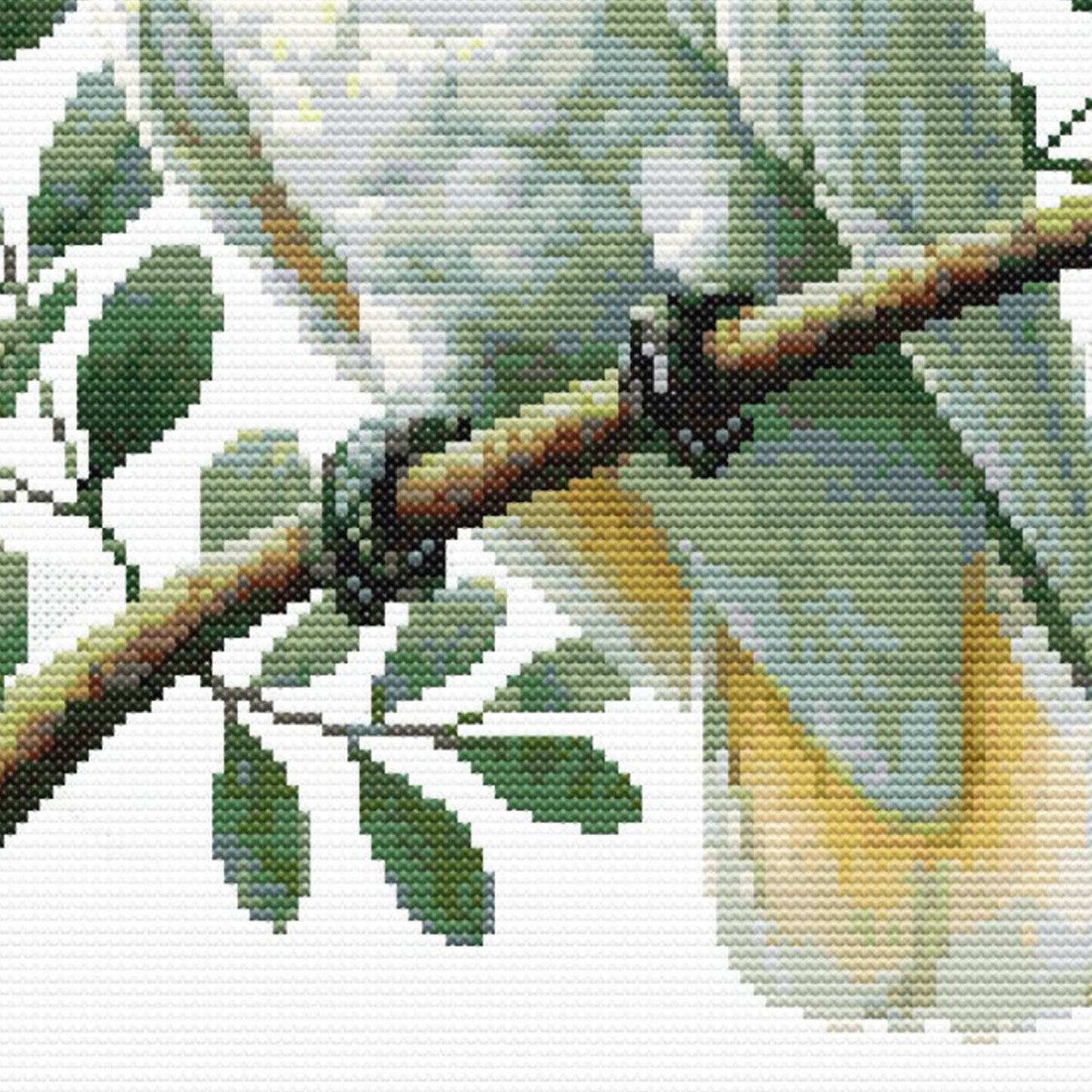 Close up of the feet and branch of the cockaoo cross stitch pattern. Showing green leave and talons.