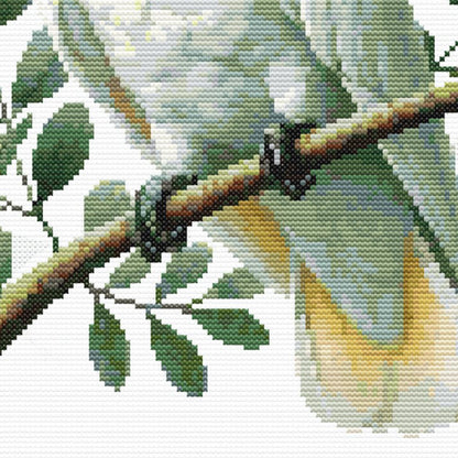 Close up of the feet and branch of the cockaoo cross stitch pattern. Showing green leave and talons.