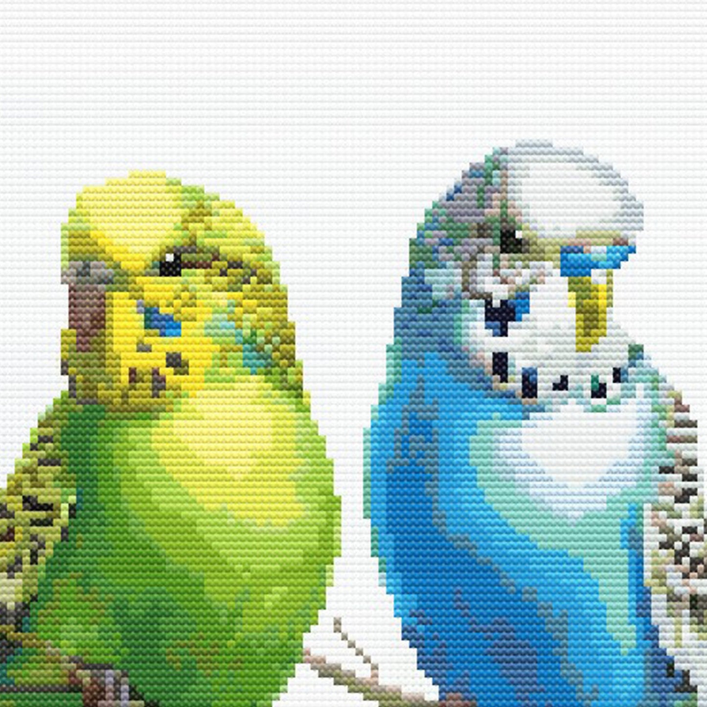 Close-up of Colorful Budgies Cross Stitch Pattern showing yellow and blue budgies, feather detail, and visible counted cross stitch texture.