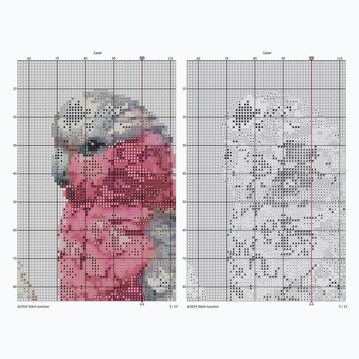Galah Parrot Cross Stitch Pattern digital download chart preview with colour symbols and black-and-white symbol chart for printable counted cross stitch.
