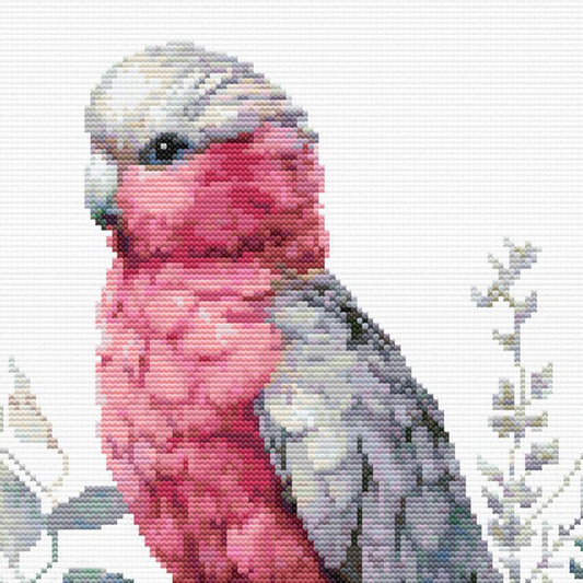 Close-up of Galah Parrot Cross Stitch Pattern showing the pink chest, grey head, feather texture, and visible counted cross stitch detail.