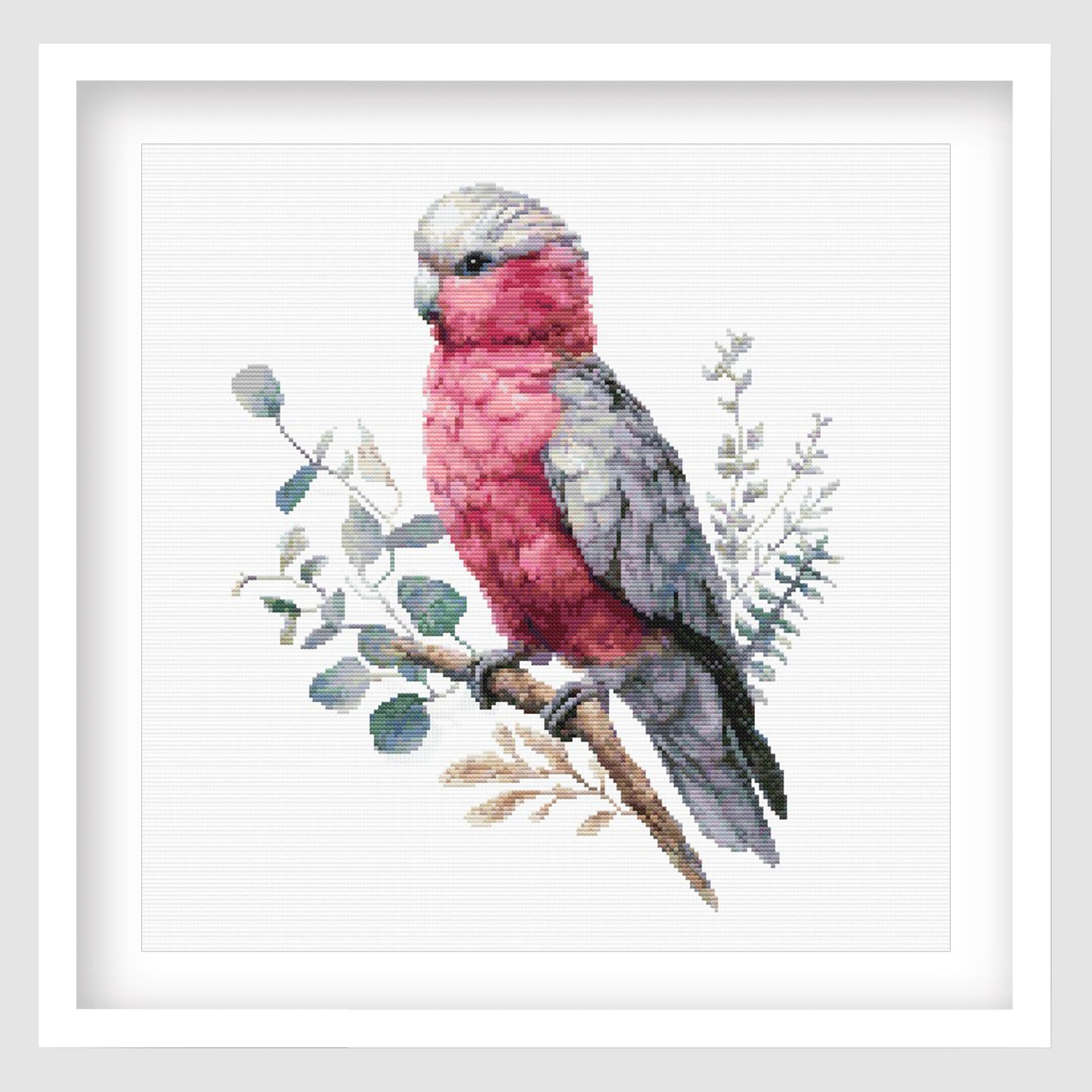 Galah Parrot Cross Stitch Pattern displayed as framed wall art with a pink and grey Australian galah perched on a branch with soft botanical detail.
