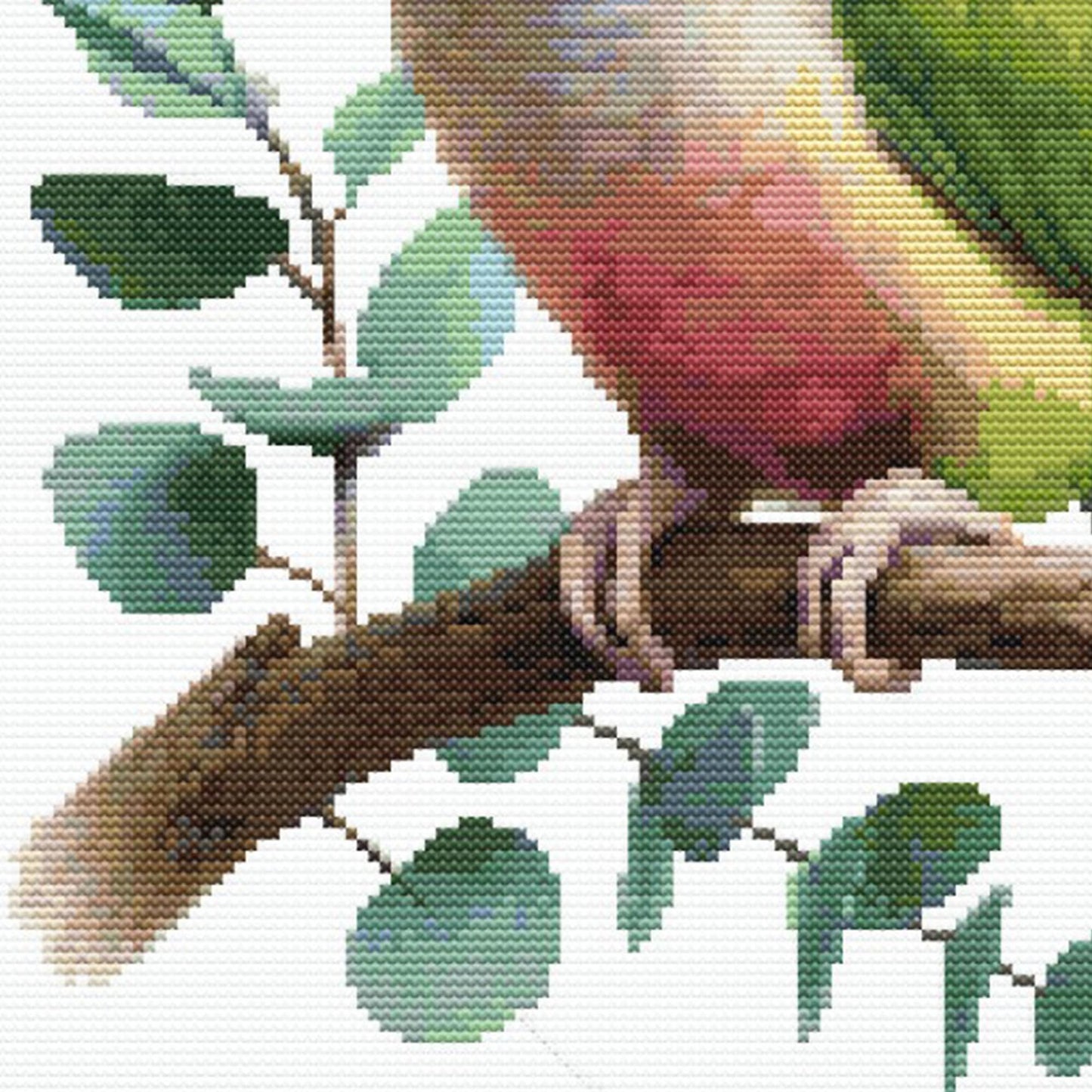 Close-up of Green Cheek Conure Cross Stitch Pattern showing the parrot perched on a branch with green leaves, red chest detail, and natural bird colouring.