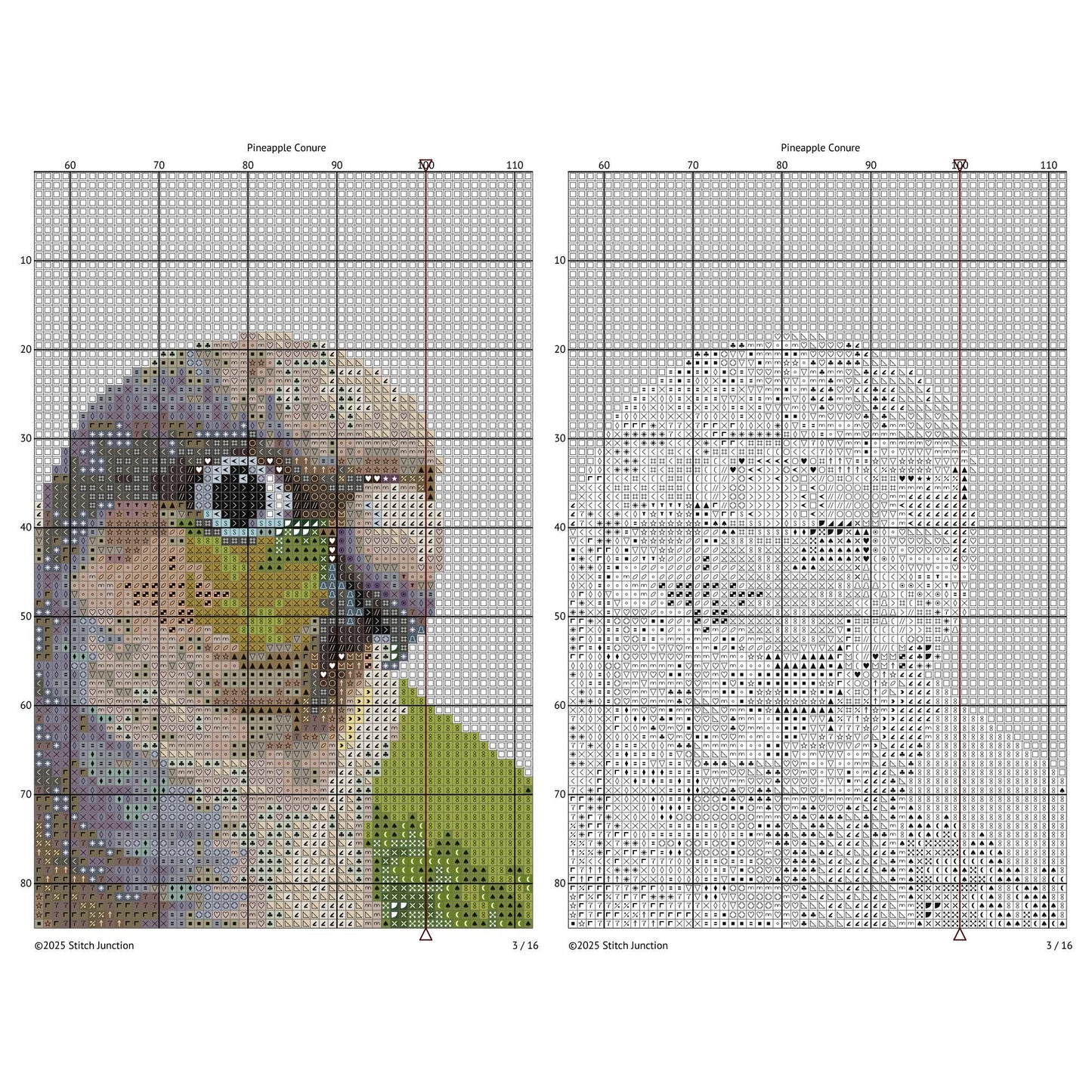 Green Cheek Conure Cross Stitch Pattern digital download chart preview with colour symbols and black-and-white symbol chart for printable counted cross stitch.
