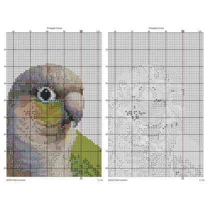 Green Cheek Conure Cross Stitch Pattern digital download chart preview with colour symbols and black-and-white symbol chart for printable counted cross stitch.