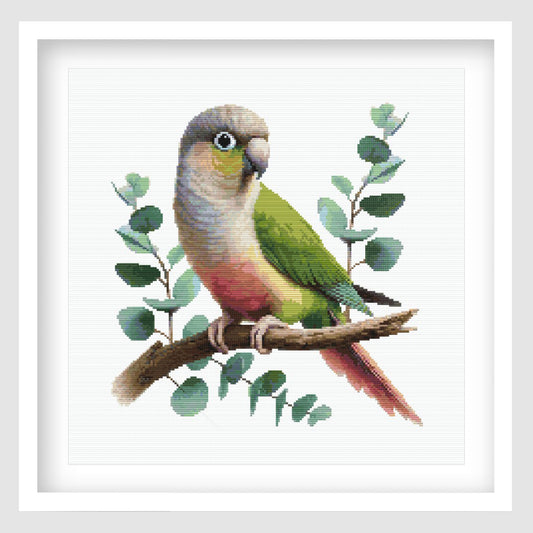 Green Cheek Conure Cross Stitch Pattern displayed as framed wall art with a colourful parrot, soft green foliage, branch detail, and gentle bird styling.