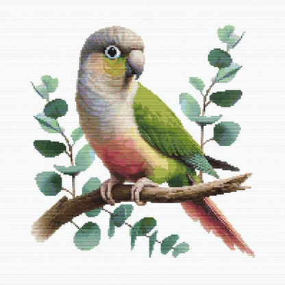 Green Cheek Conure Cross Stitch Pattern featuring a colourful pet parrot perched on a branch with leafy green foliage and soft wildlife detail.