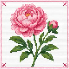 Pink Peony cross stitch pattern - pink floral PDF chart, stitched sample