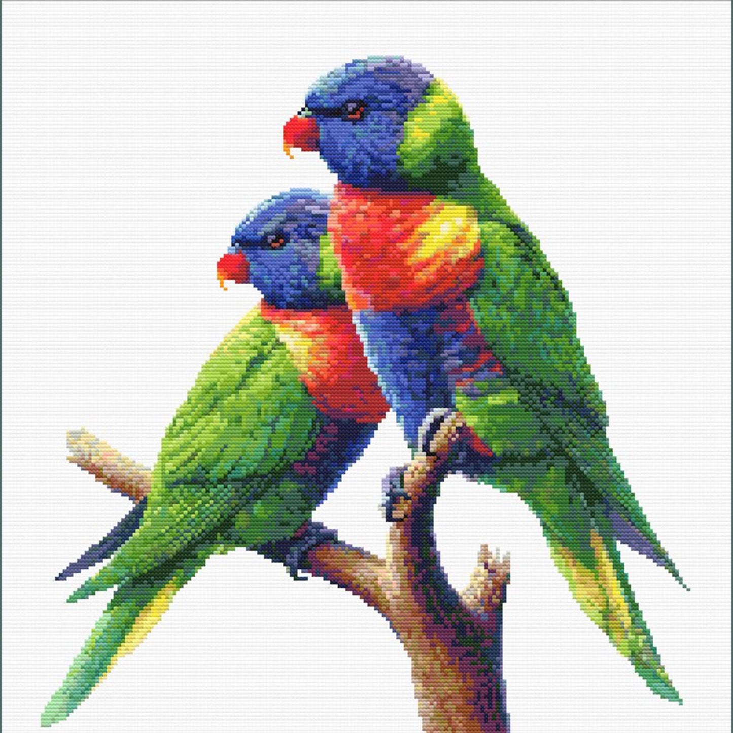 Rainbow Lorikeet Cross Stitch Pattern - digital cross stitch pattern by Stitch Junction