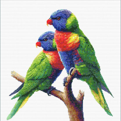 Rainbow Lorikeet Cross Stitch Pattern - digital cross stitch pattern by Stitch Junction