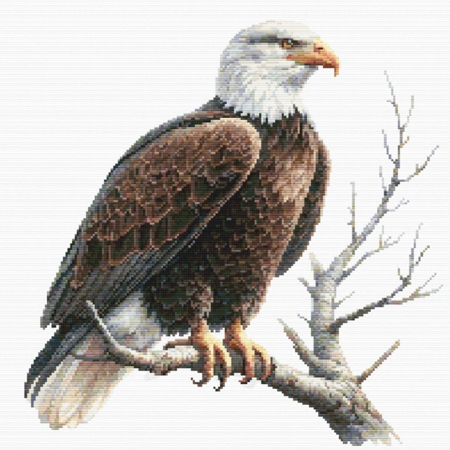 Bald Eagle Cross Stitch Pattern, American Wildlife Bird Embroidery - digital cross stitch pattern by Stitch Junction