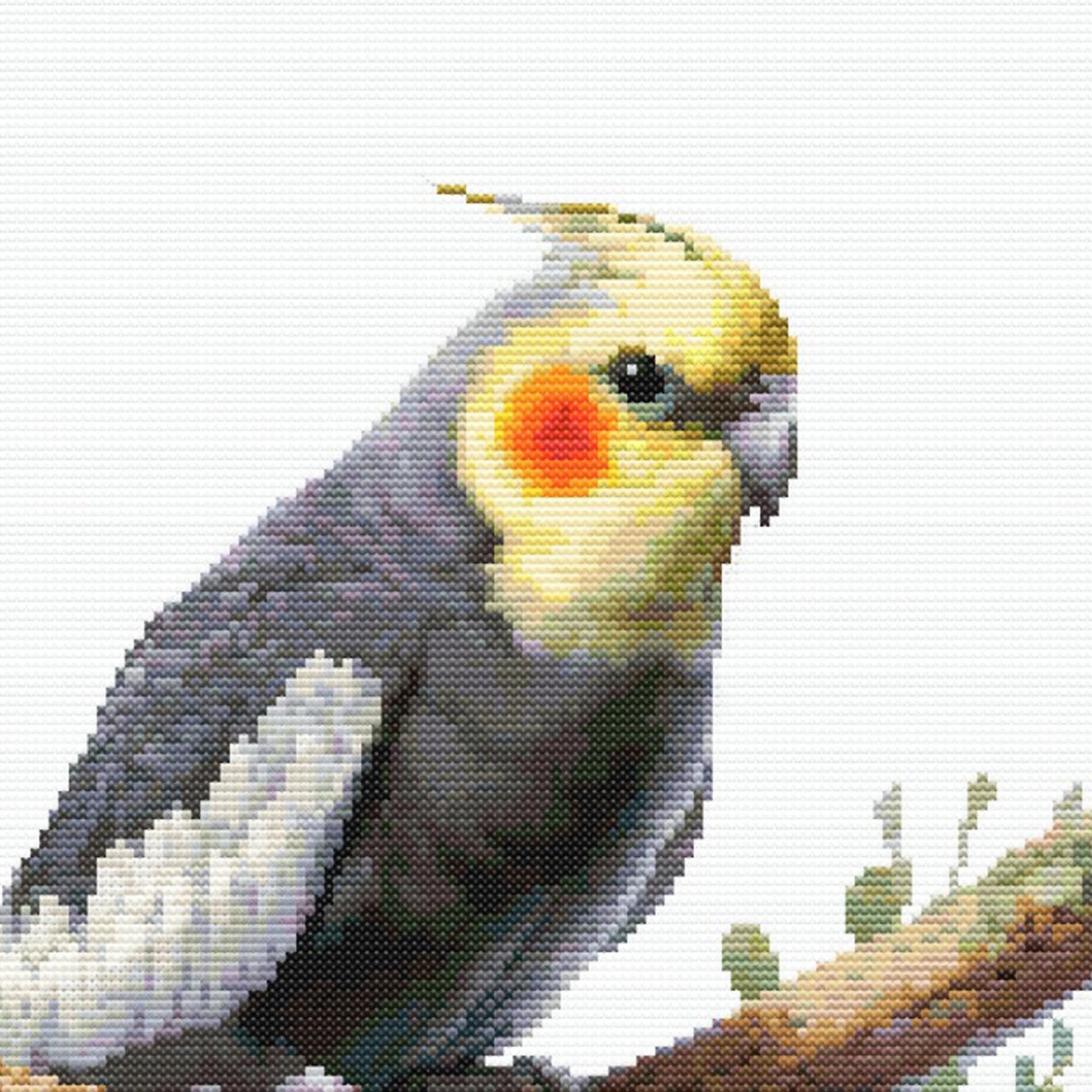 Cockatiel Cross Stitch Pattern, Realistic Pet Bird Design, Parrot Embroidery for Bird Lovers - digital cross stitch pattern by Stitch Junction