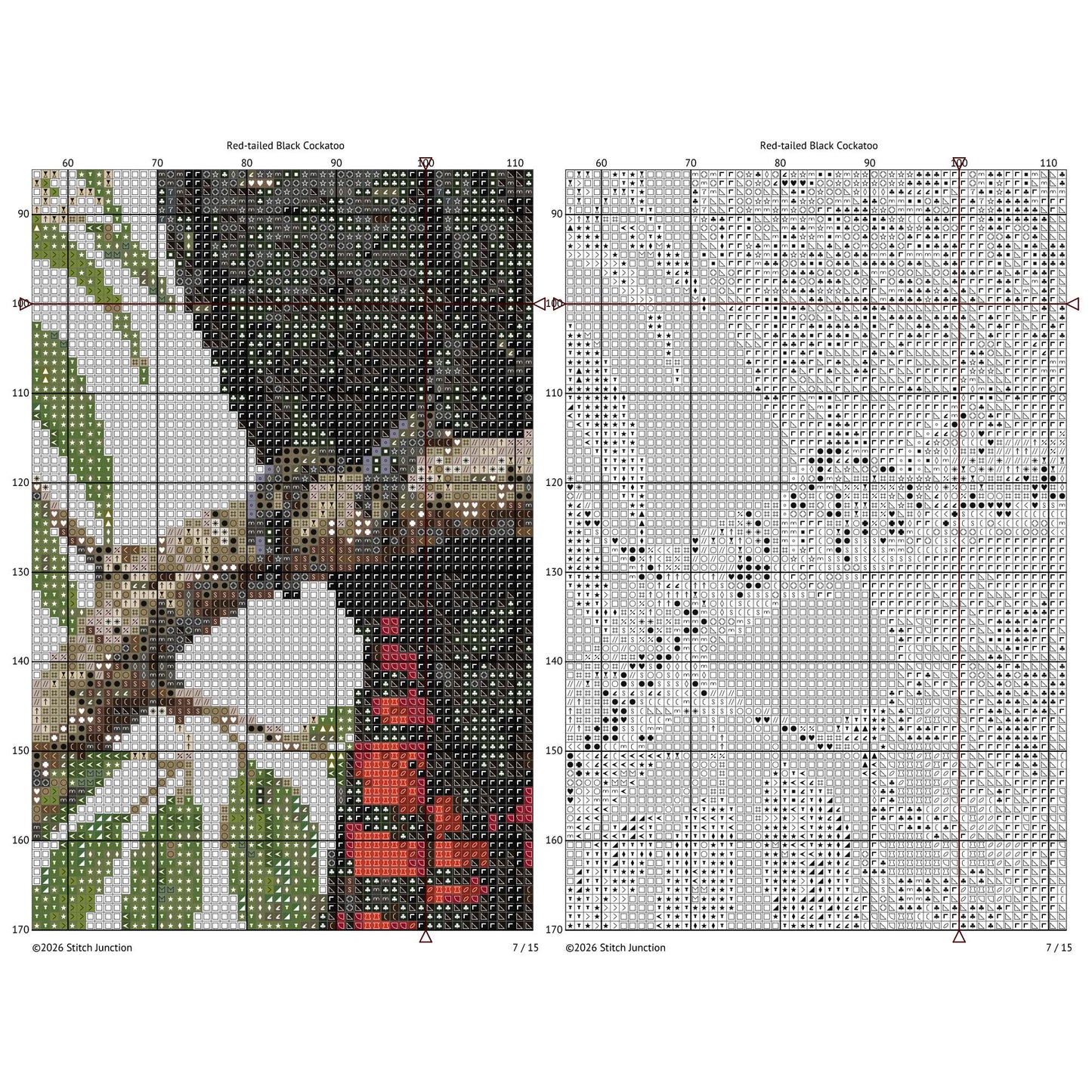 Red-Tailed Black Cockatoo Cross Stitch Pattern, Australian Bird Embroidery Design - digital cross stitch pattern by Stitch Junction