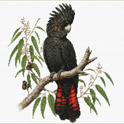 Red-Tailed Black Cockatoo Cross Stitch Pattern, Australian Bird Embroidery Design - digital cross stitch pattern by Stitch Junction