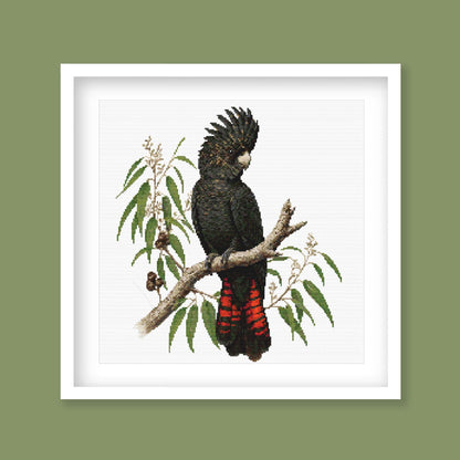 Red-Tailed Black Cockatoo, Australian Bird Cross Stitch Pattern - Etsy image 10