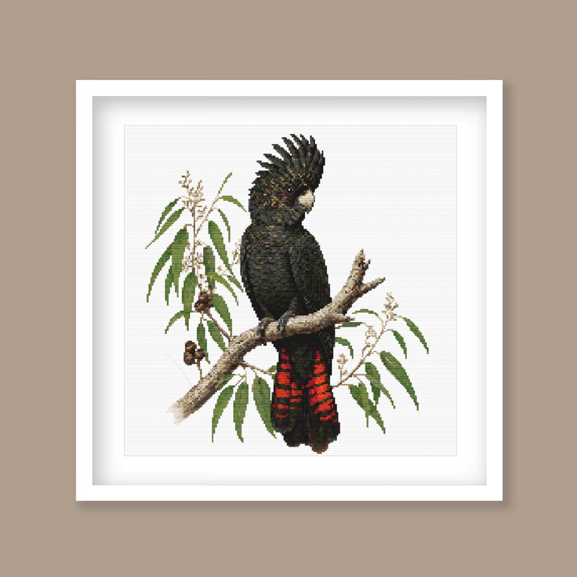 Red-Tailed Black Cockatoo Cross Stitch Pattern, Australian Bird digital PDF cross stitch pattern preview by Stitch Junction