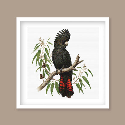 Red-Tailed Black Cockatoo Cross Stitch Pattern, Australian Bird digital PDF cross stitch pattern preview by Stitch Junction
