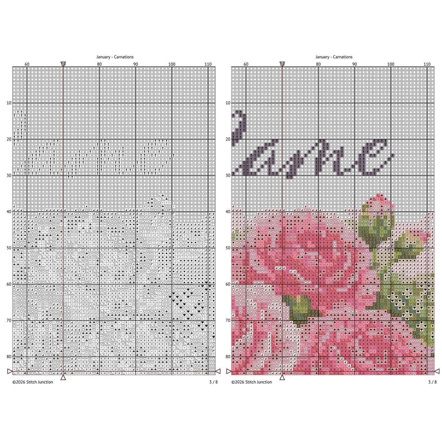 January carnation counted cross stitch chart preview showing counted pattern grid and embroidery symbols