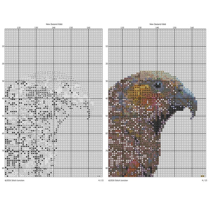 New Zealand Kākā Cross Stitch Pattern digital download chart preview with colour symbols and black-and-white symbol chart for printable counted cross stitch.