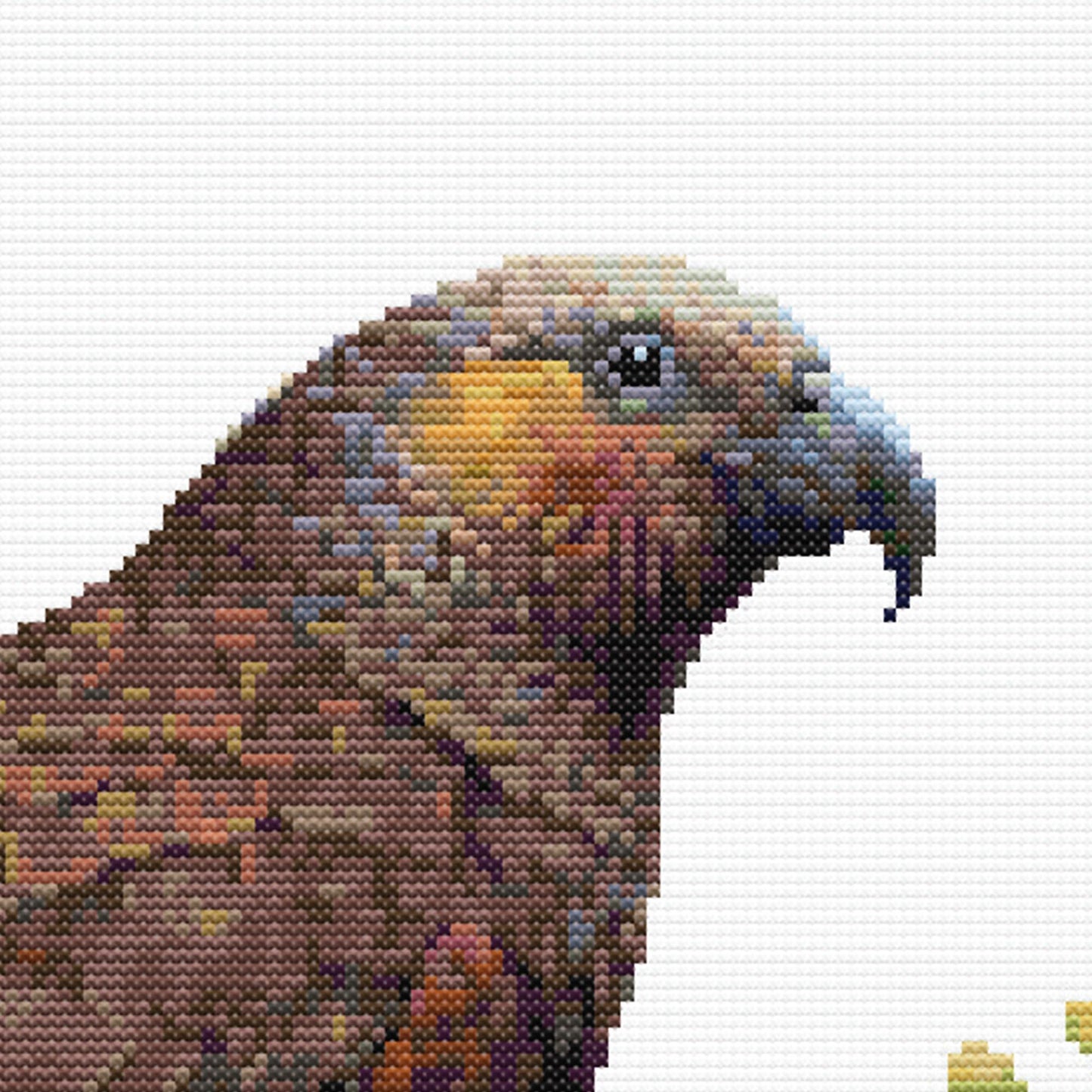 Close-up of New Zealand Kākā Cross Stitch Pattern showing the kākā’s curved beak, brown feather detail, eye, and natural native bird colouring.