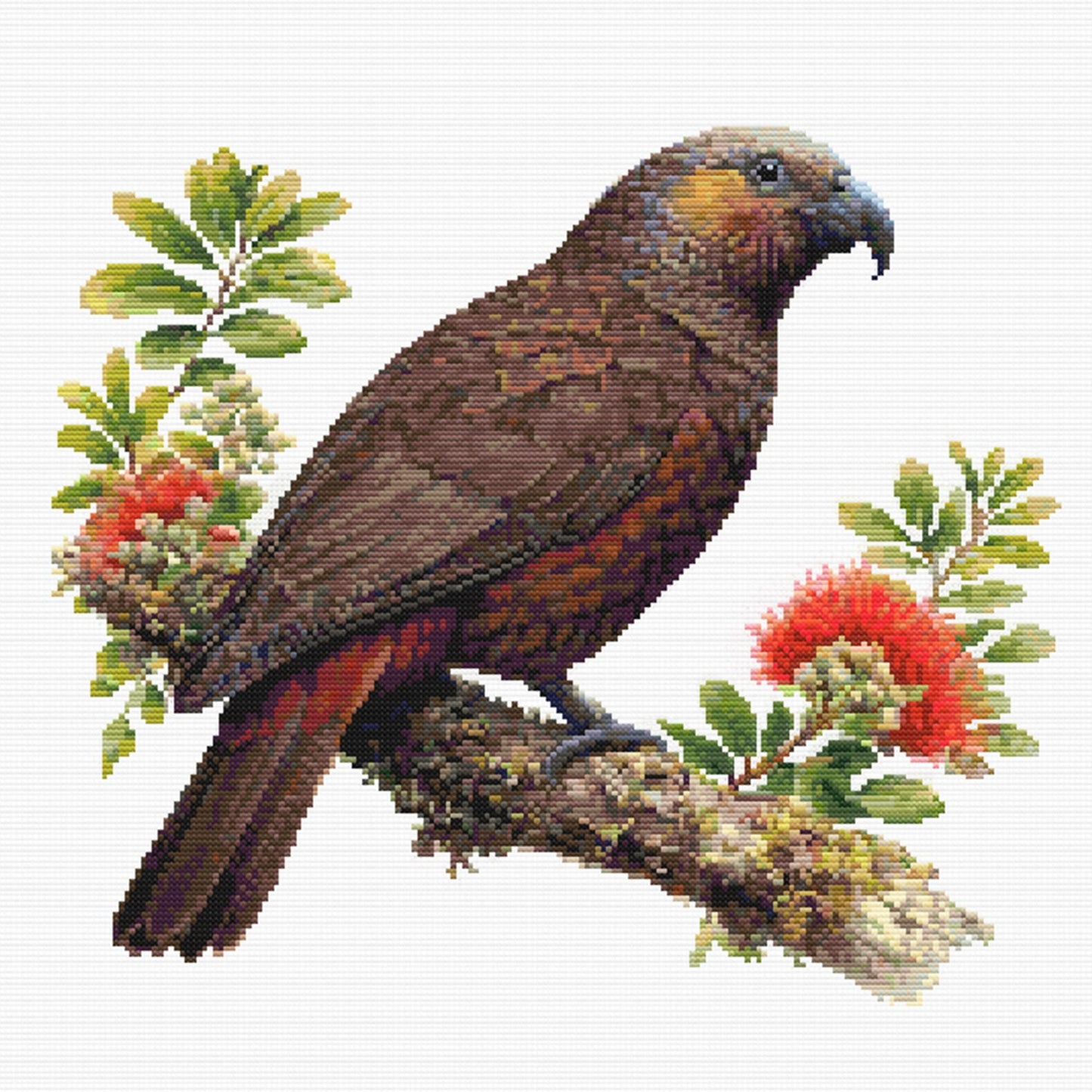 New Zealand Kākā Cross Stitch Pattern featuring a native New Zealand kākā perched with red pōhutukawa flowers, green foliage, and rich bird detail.