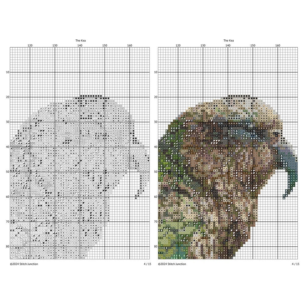 New Zealand Kea Cross Stitch Pattern digital download chart preview with colour symbols and black-and-white symbol chart for printable counted cross stitch.