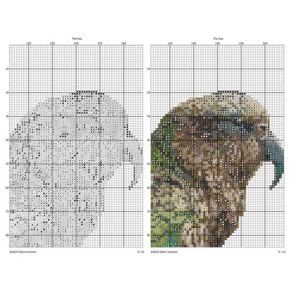 New Zealand Kea Cross Stitch Pattern digital download chart preview with colour symbols and black-and-white symbol chart for printable counted cross stitch.