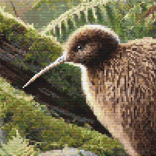 Kiwi Cross Stitch Pattern displayed as framed wall art with a brown kiwi bird, mossy forest floor, ferns, logs, and native New Zealand woodland detail.
